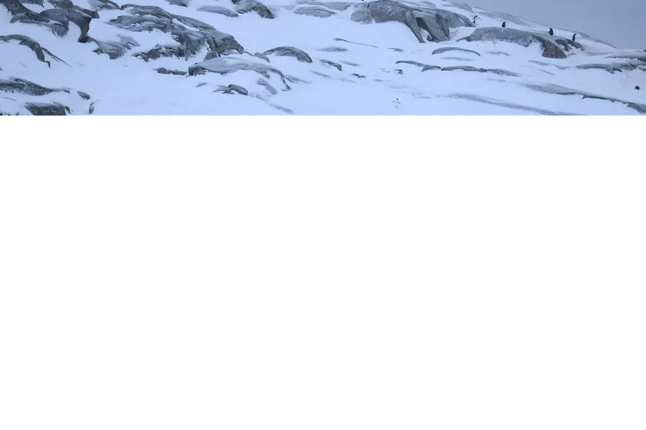 image (1).png