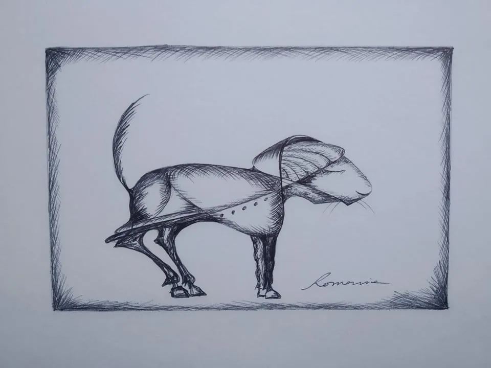 Zdibujo114B.jpg