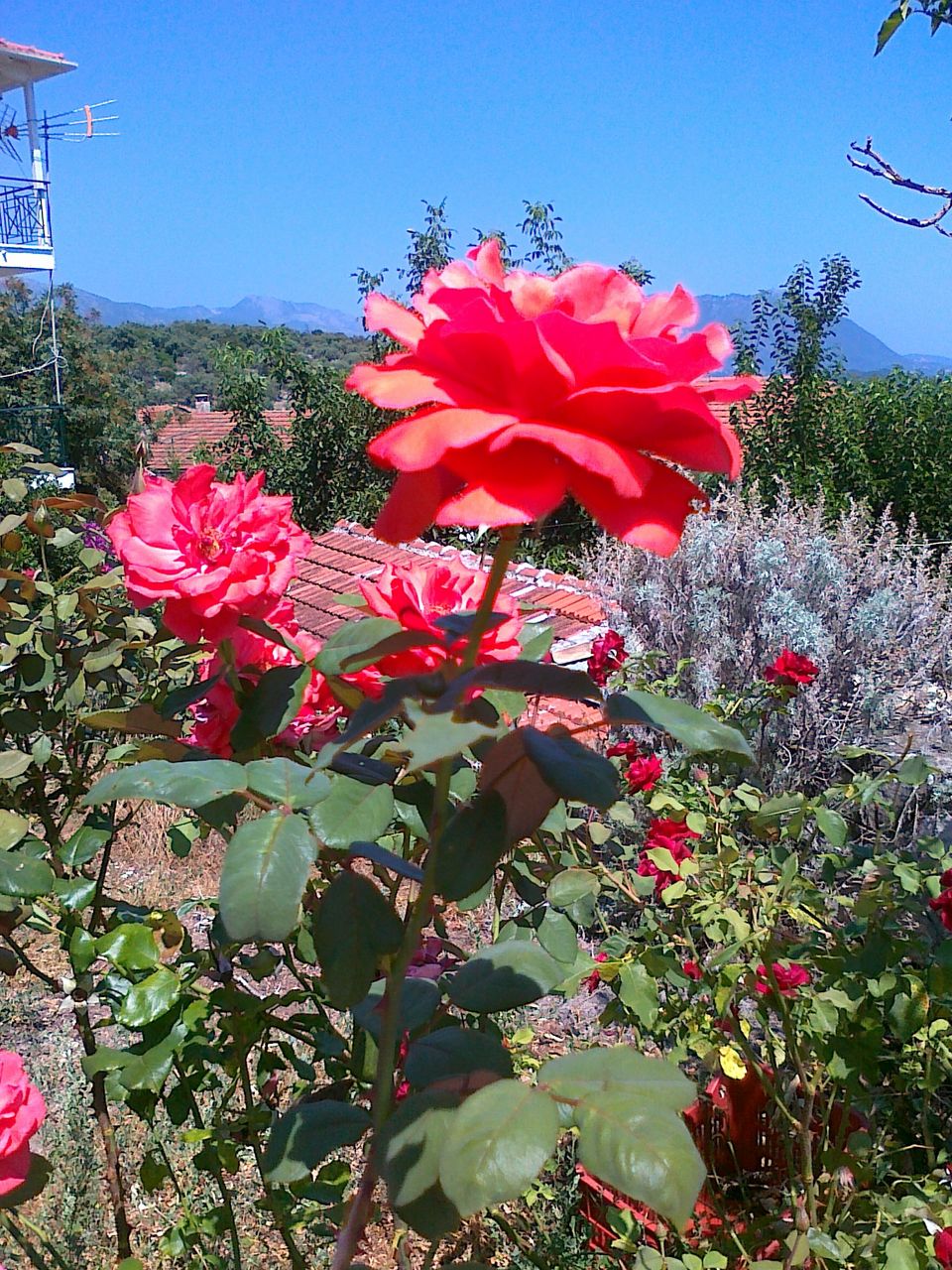 26062012160.jpg