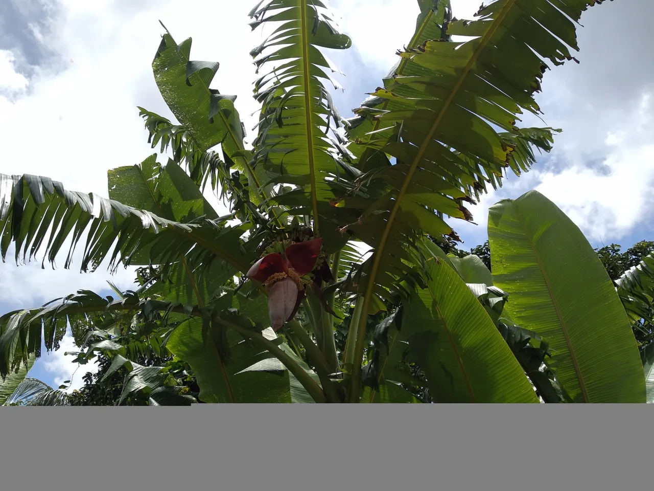 স-2.jpg