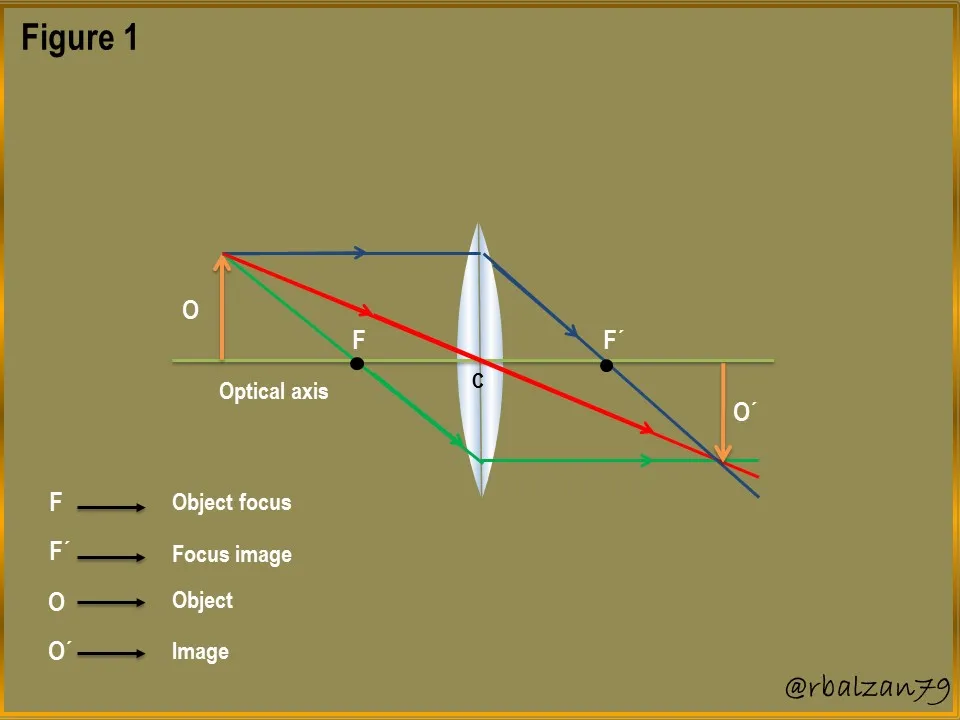 Figure _1.JPG