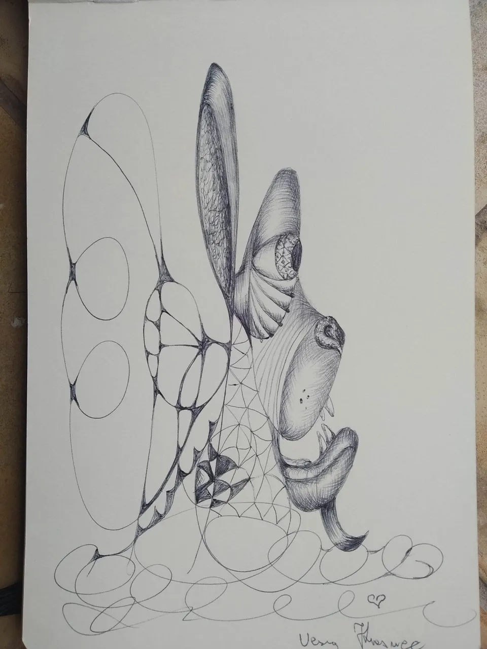 dibujo553BB.jpg