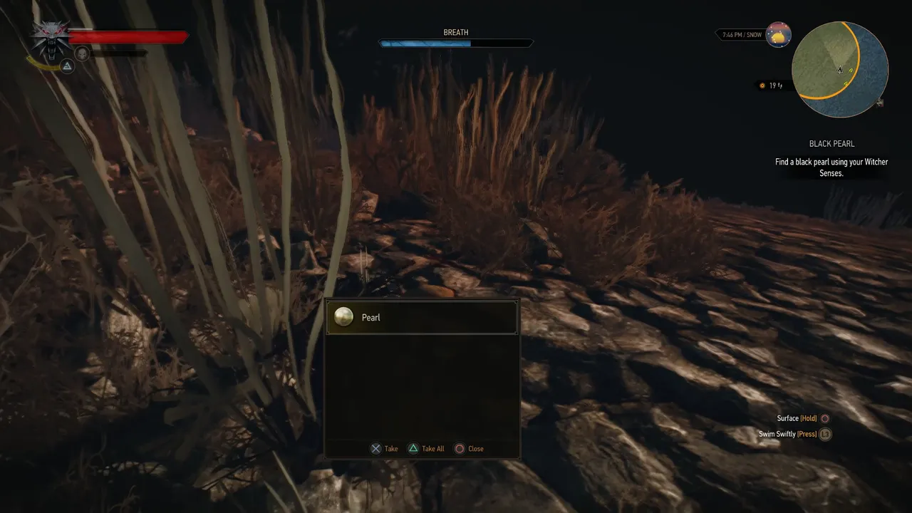Snapshot_85.png