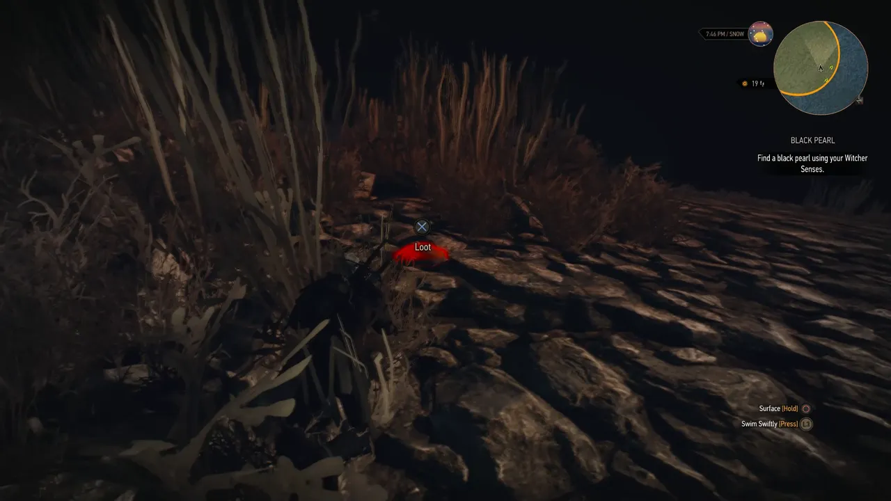 Snapshot_84.png