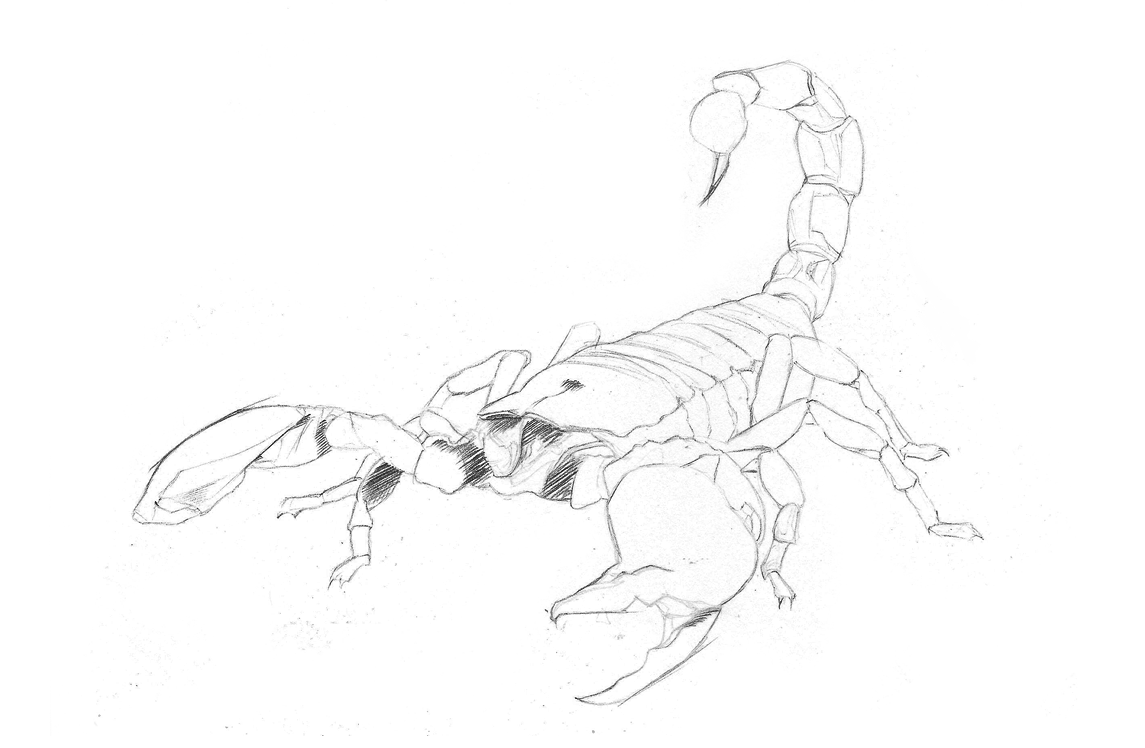 escorpion-2.gif