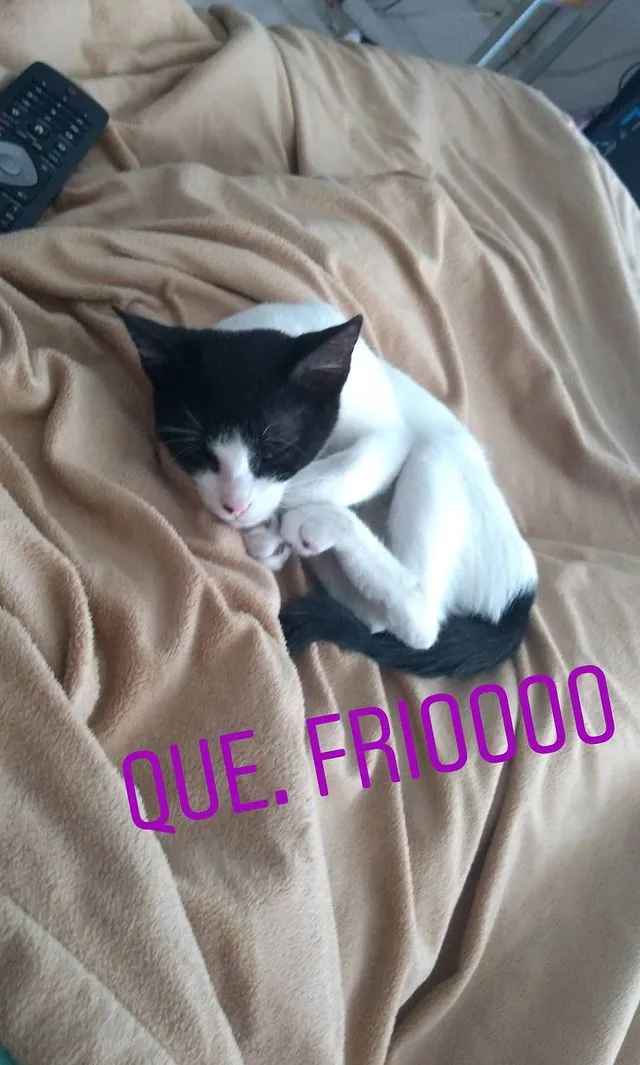 "bebe frio.jpg"