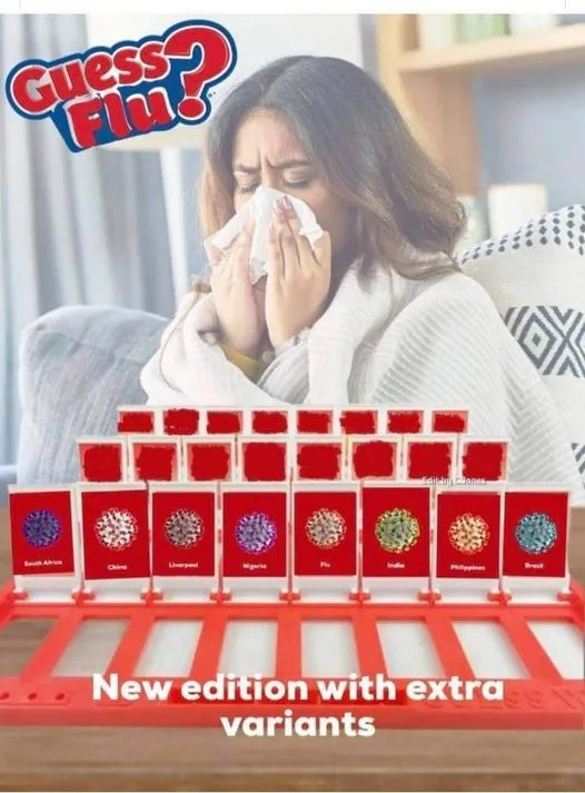 guess flu.jpg
