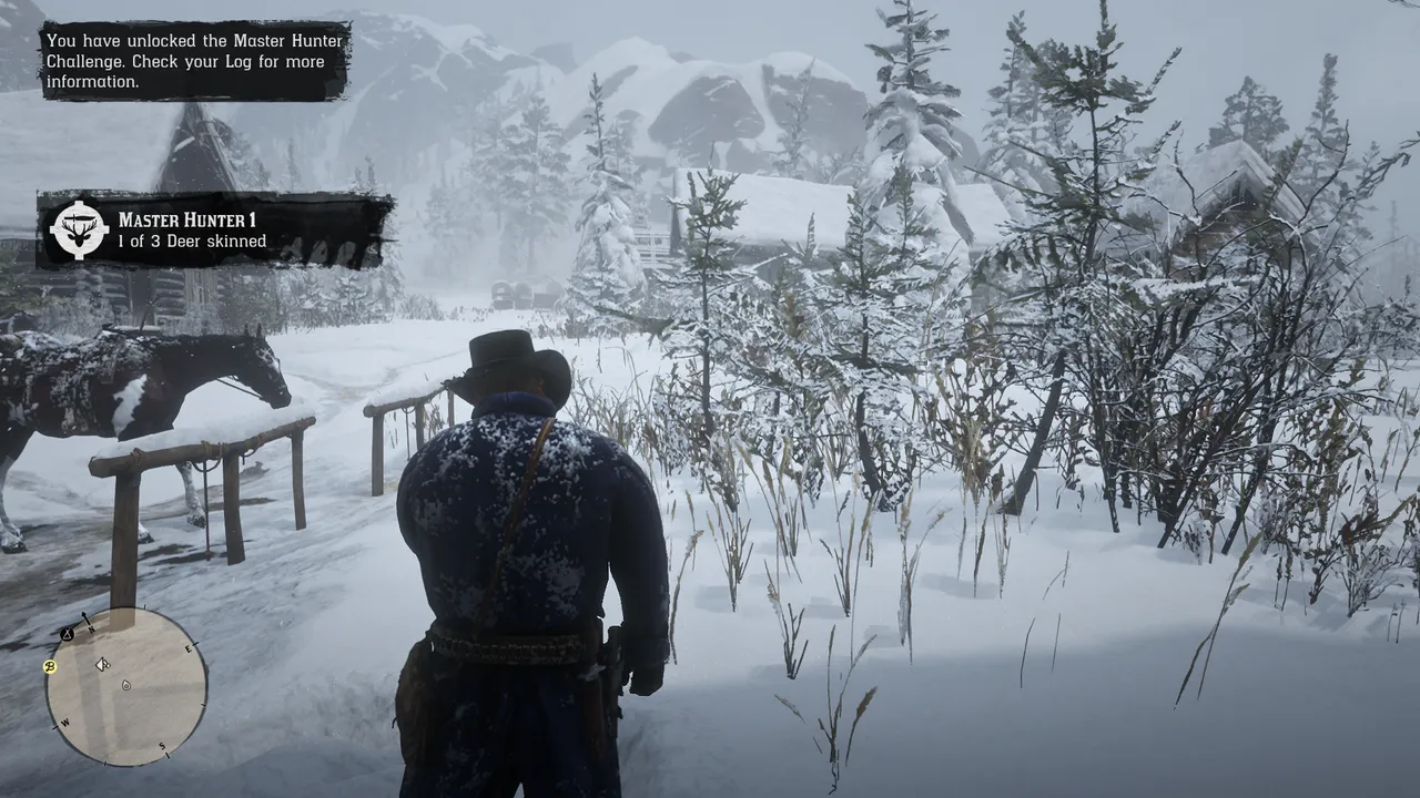 RDR2 (36).png