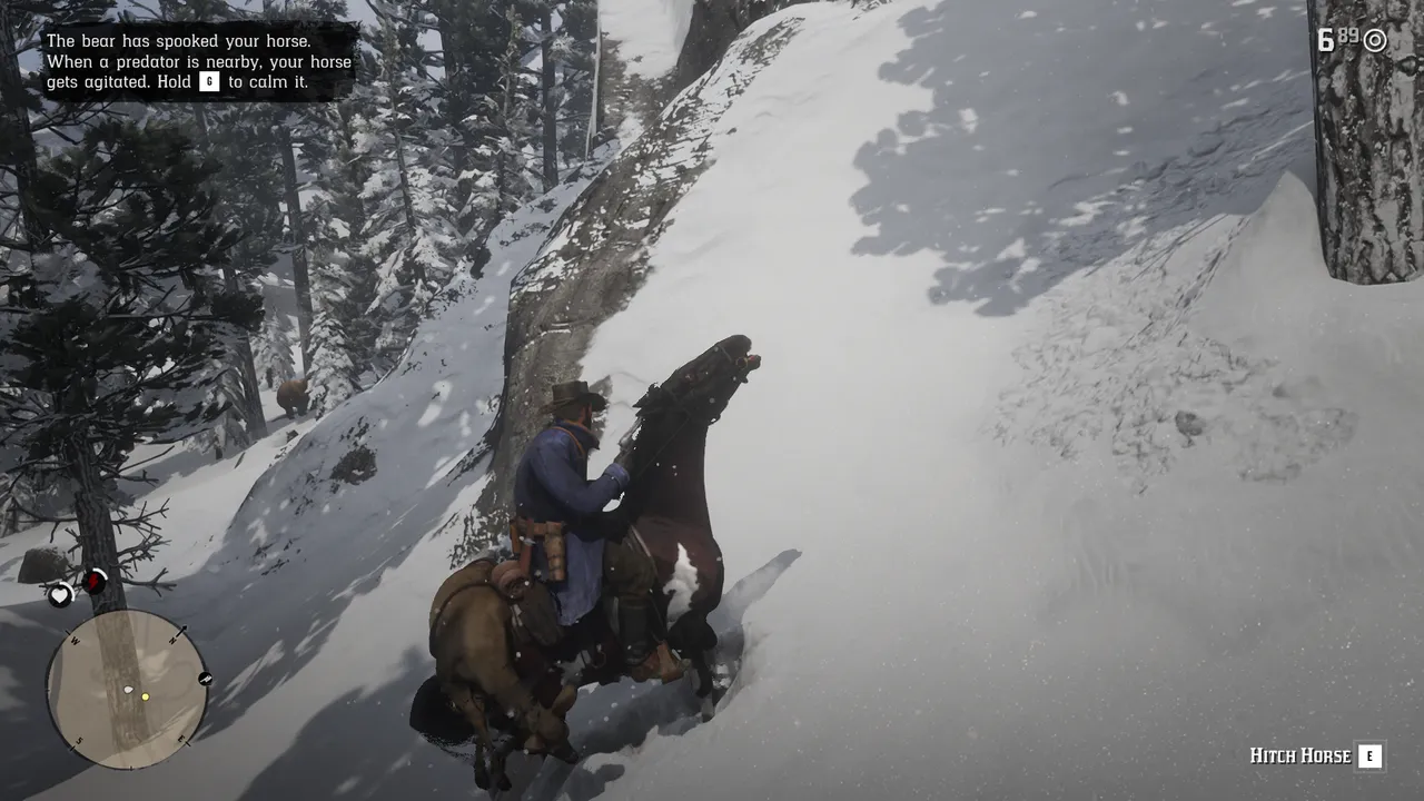 RDR2 (23).png
