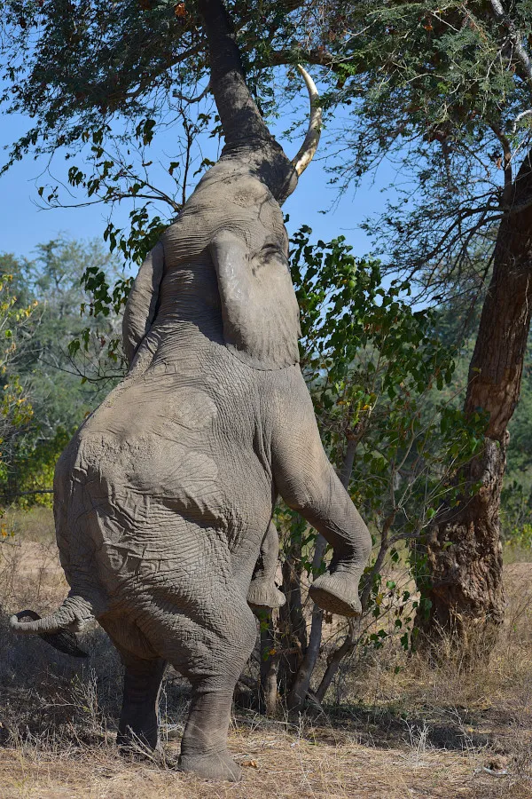 Afrique-110.jpg