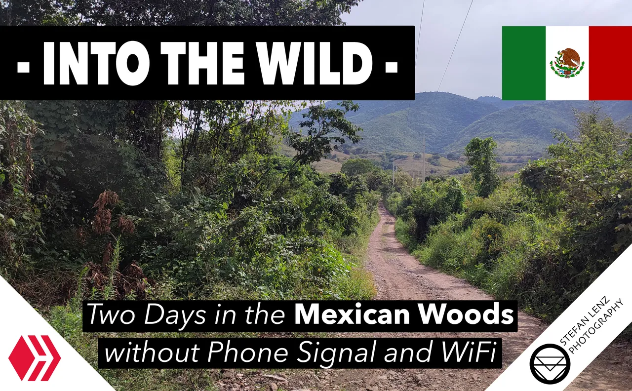 Intothewild.jpg