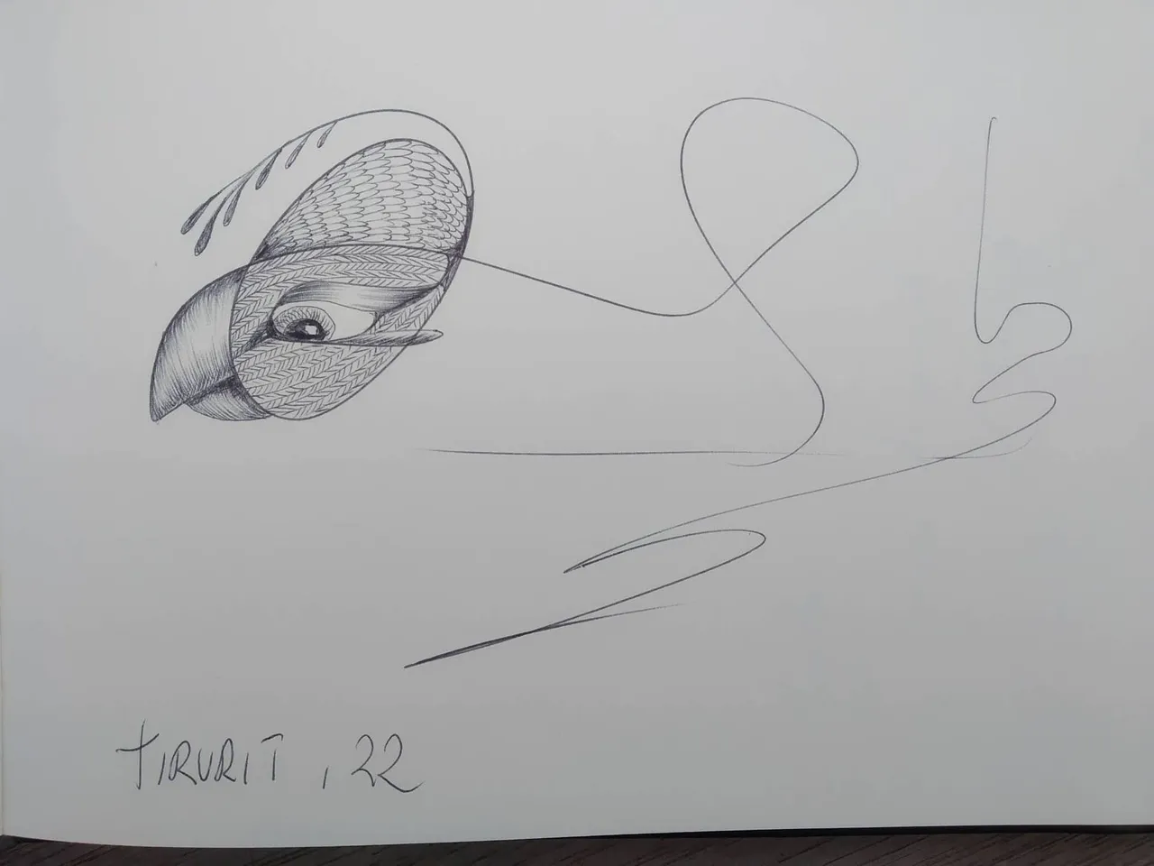 dibujo425BB.jpg