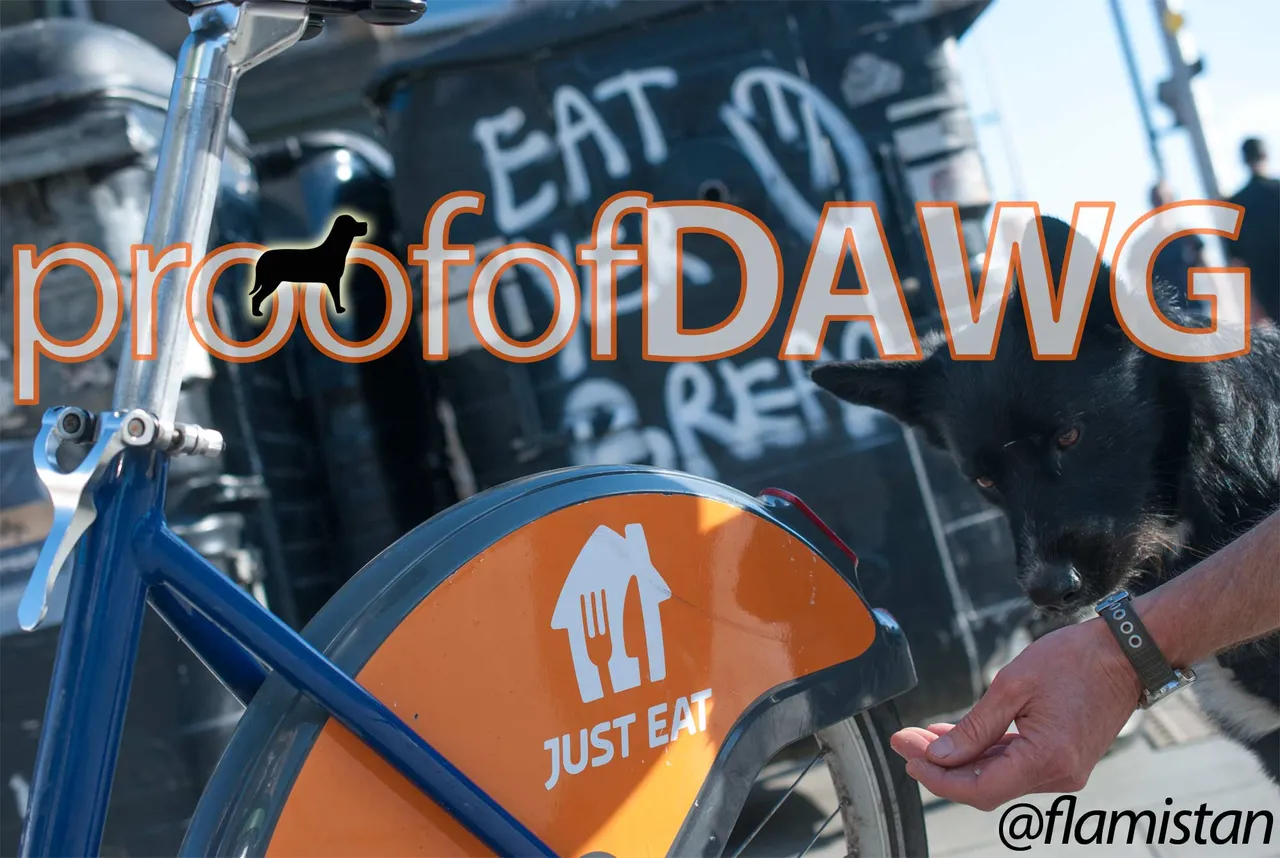 proofOfDawg.jpg