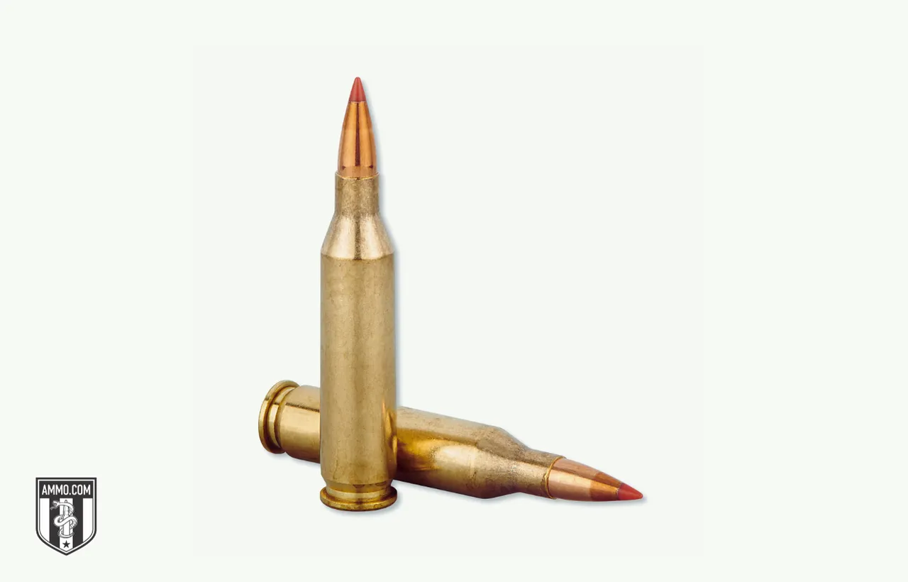 image (3).png
