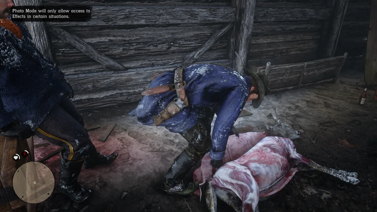 RDR2 (33).png
