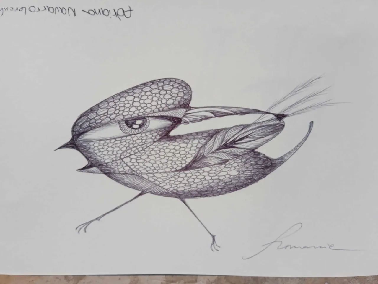 dibujo734BB.jpg