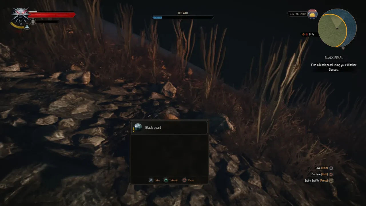 Snapshot_87.png