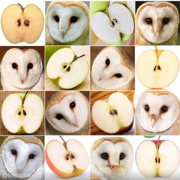 apple owl.jpg