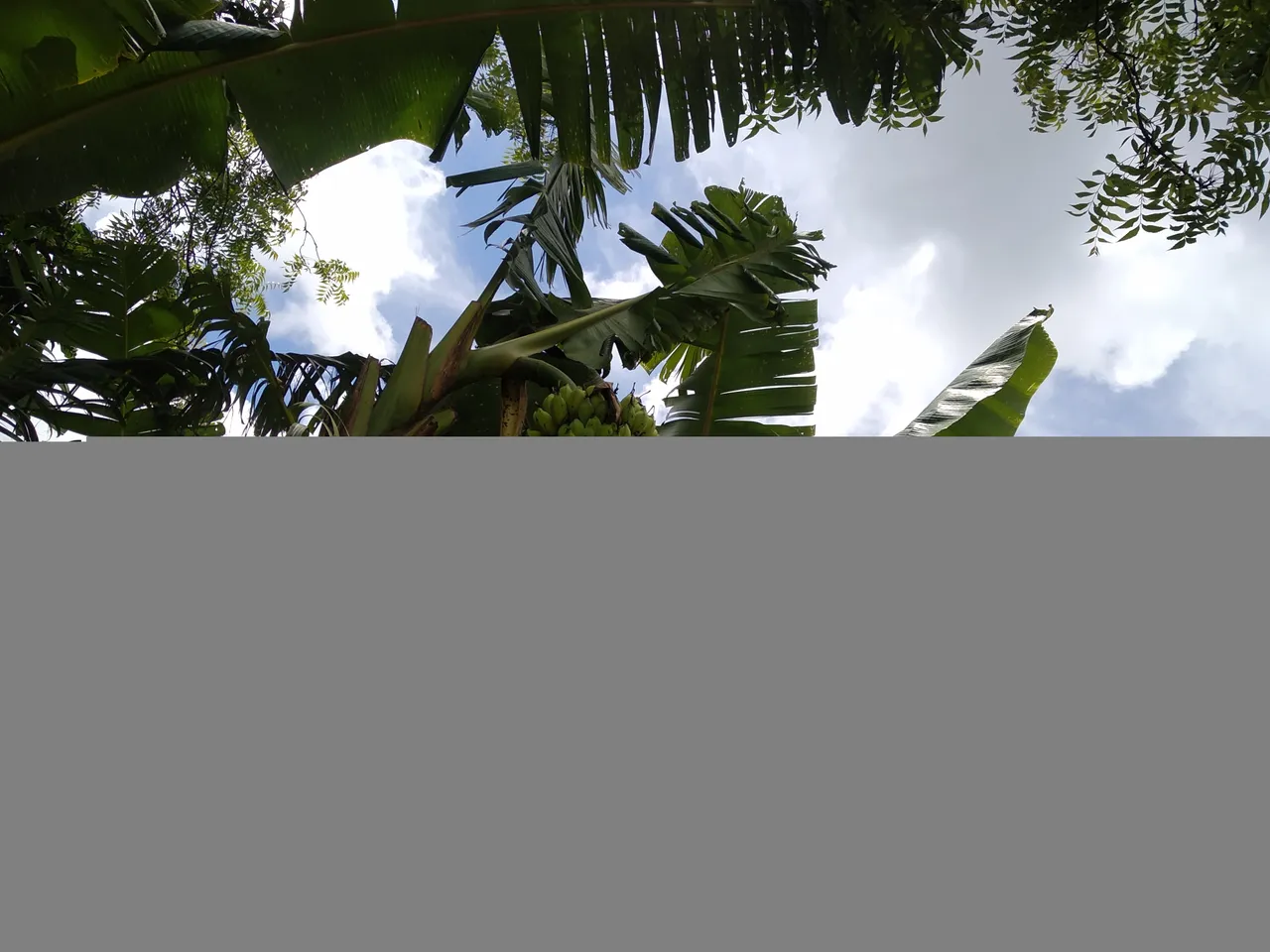 স-1.jpg
