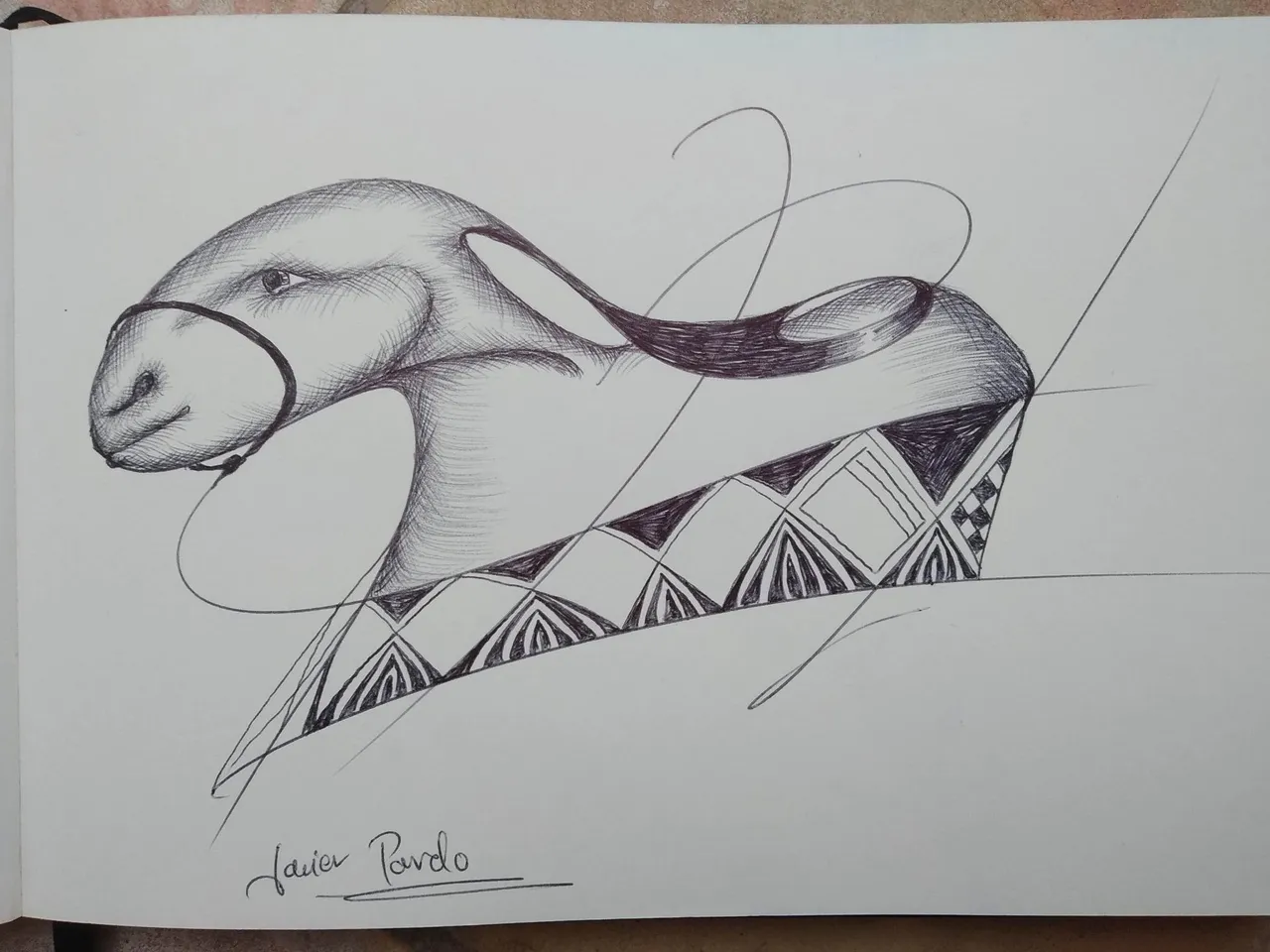 dibujo639BB.jpg