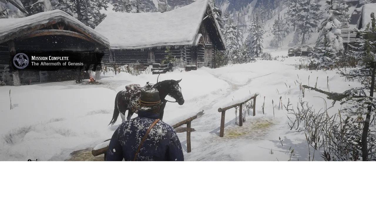 RDR2 (37).png