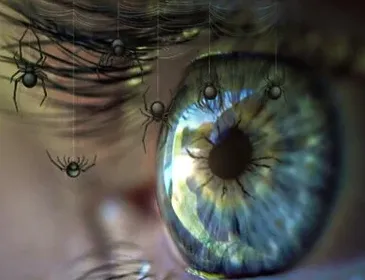 Spiders-eye.png