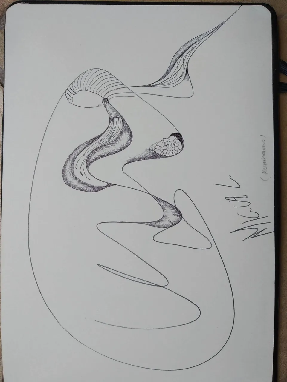 dibujo593BB.jpg