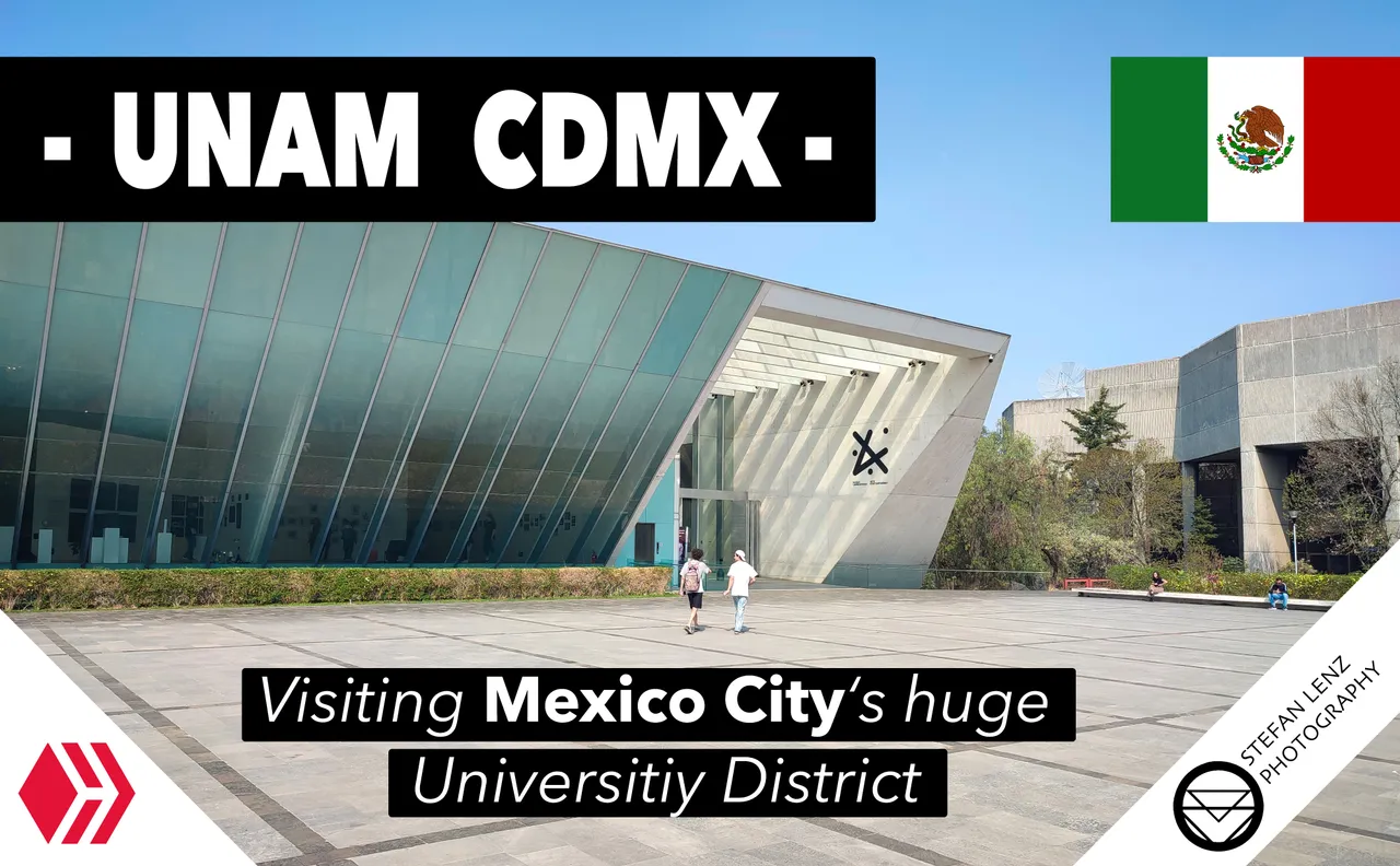 Blog UNAM.jpg