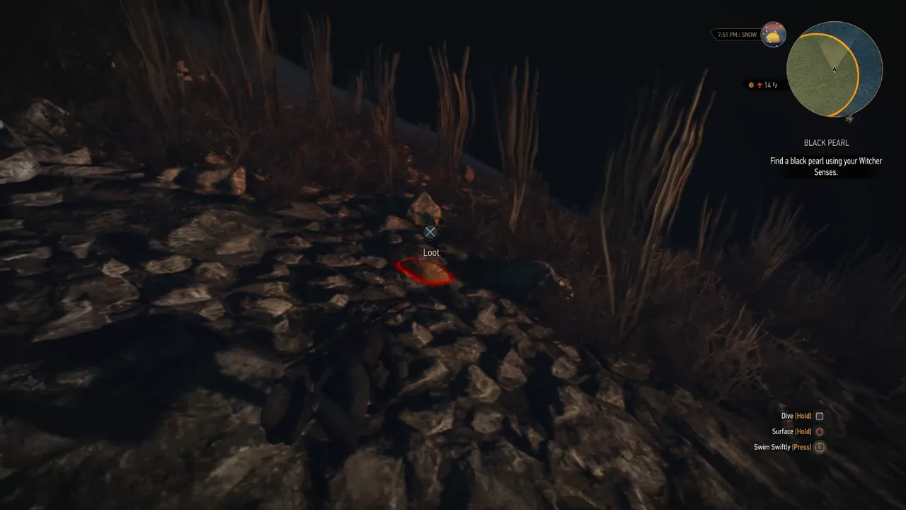 Snapshot_86.png