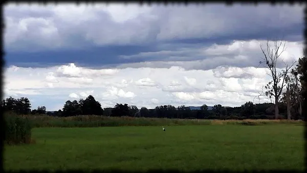 Landschaft3.jpg