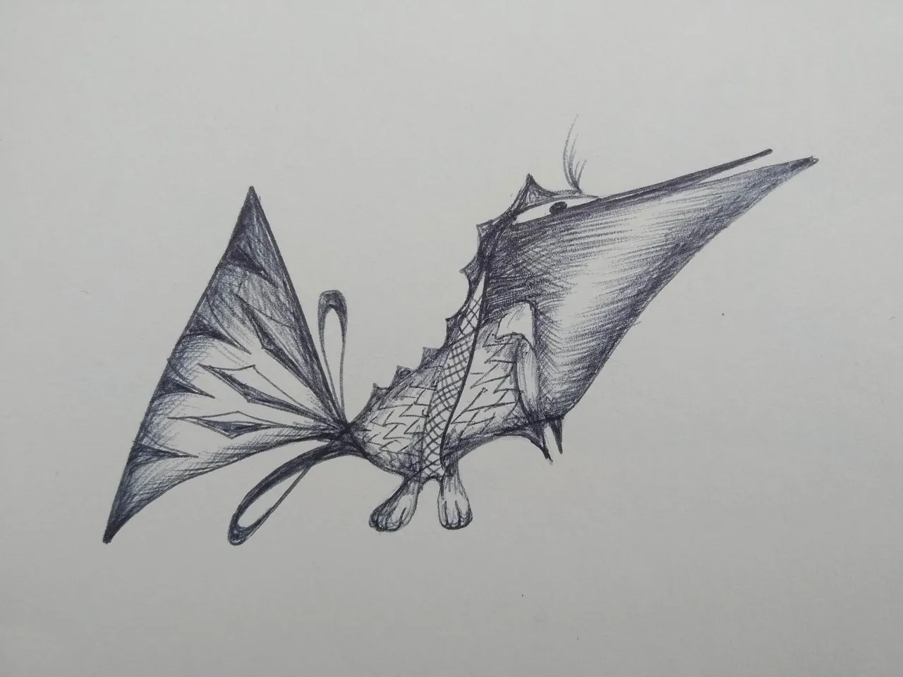 dibujo545BB.jpg