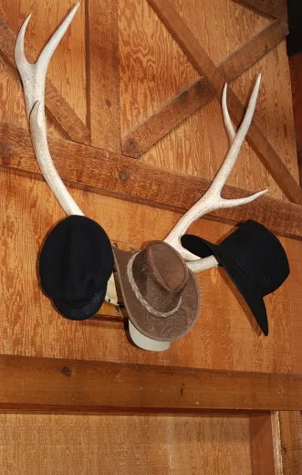 coat-hanger.jpg