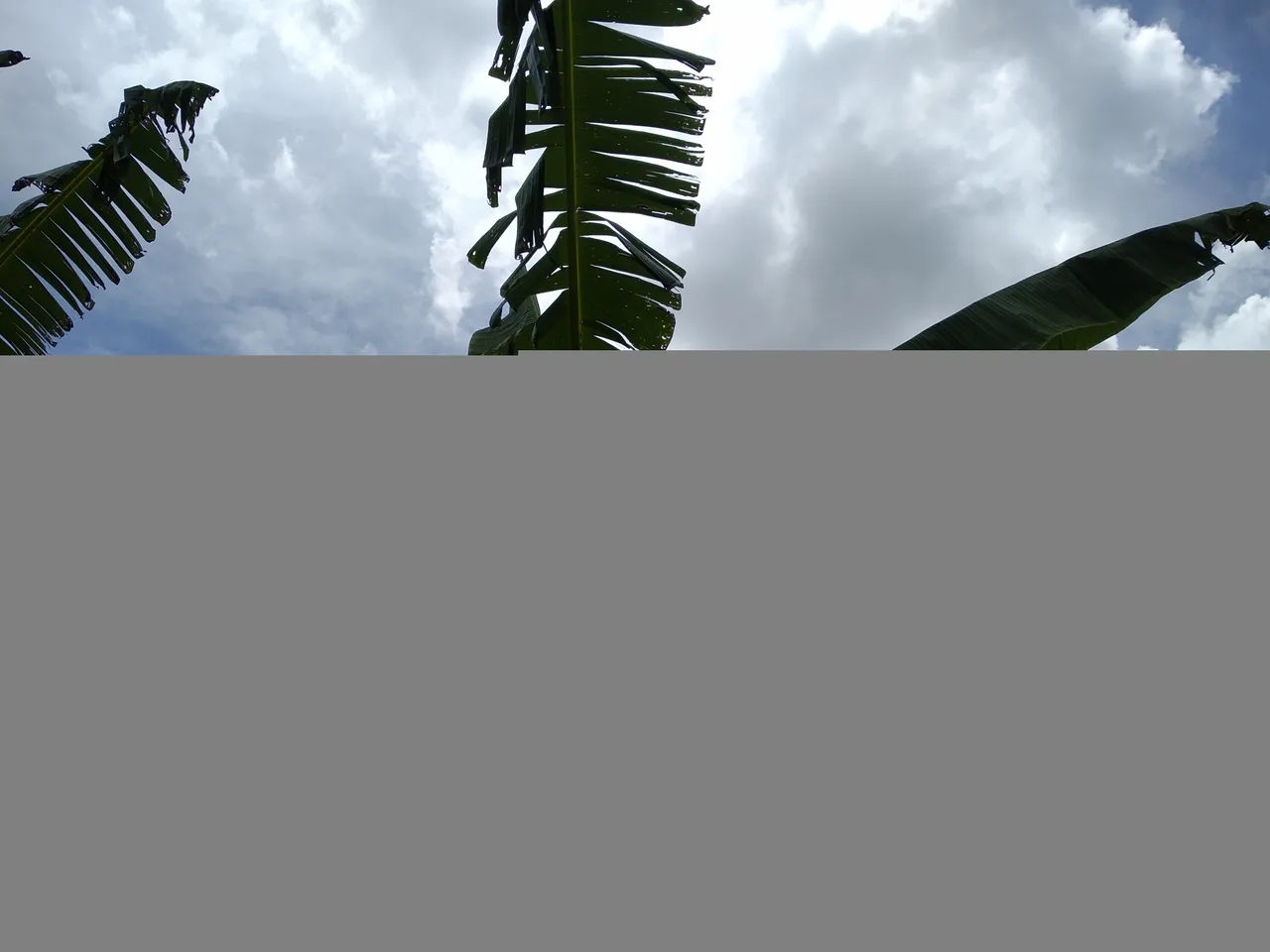 স-3.jpg