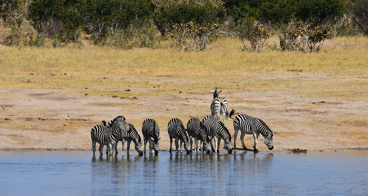Afrique-100.jpg