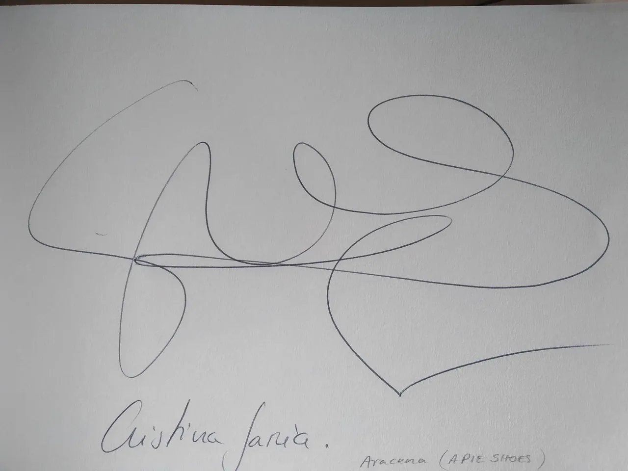 dibujo610AA.jpg