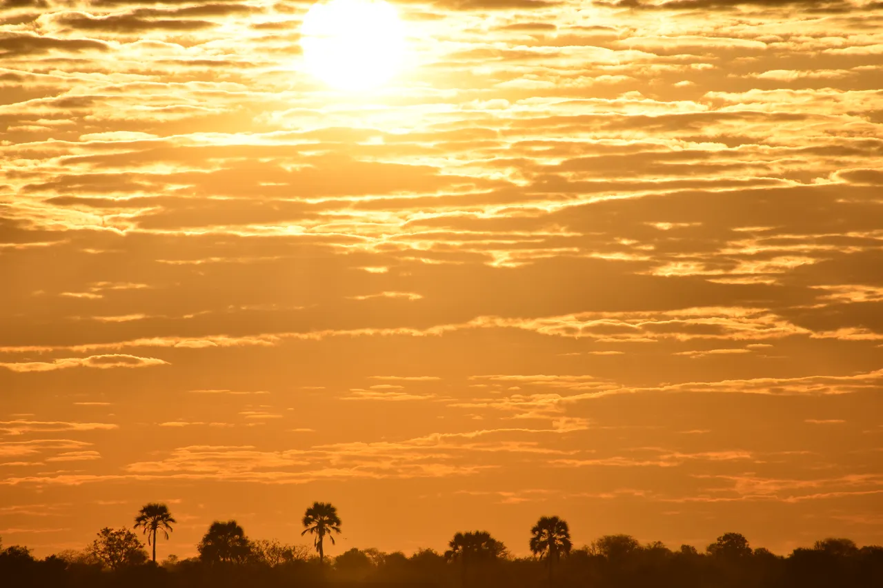Afrique-088.jpg