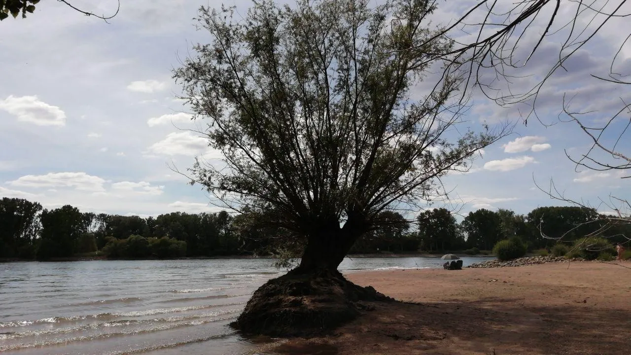 Steindamm06.jpg
