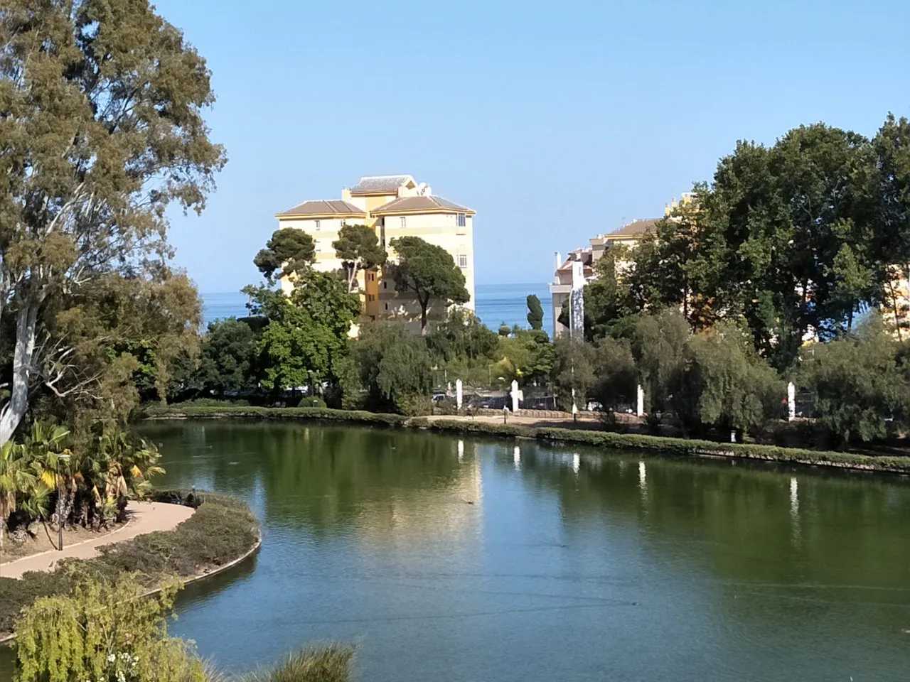s pond z.jpg