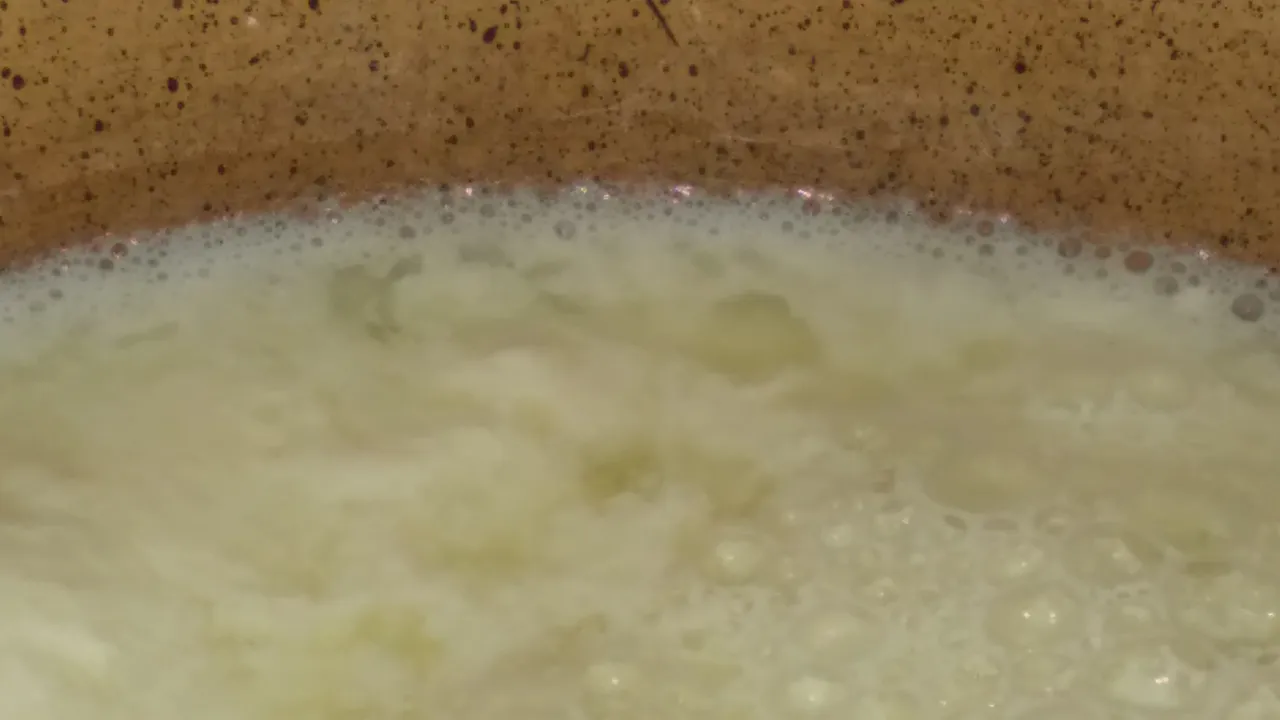 20220904_115359.jpg