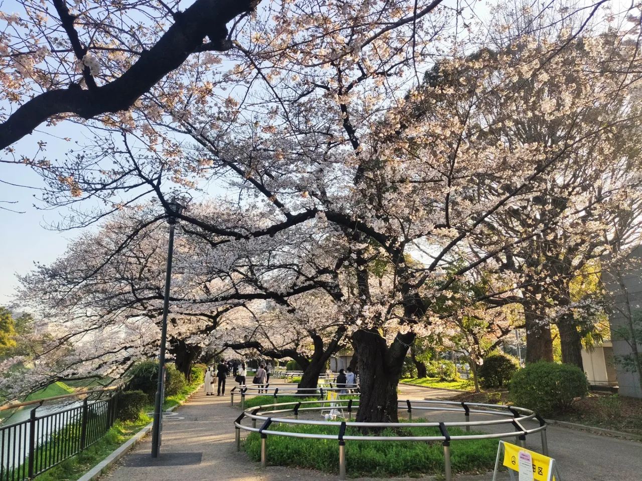Chidorigafuchi