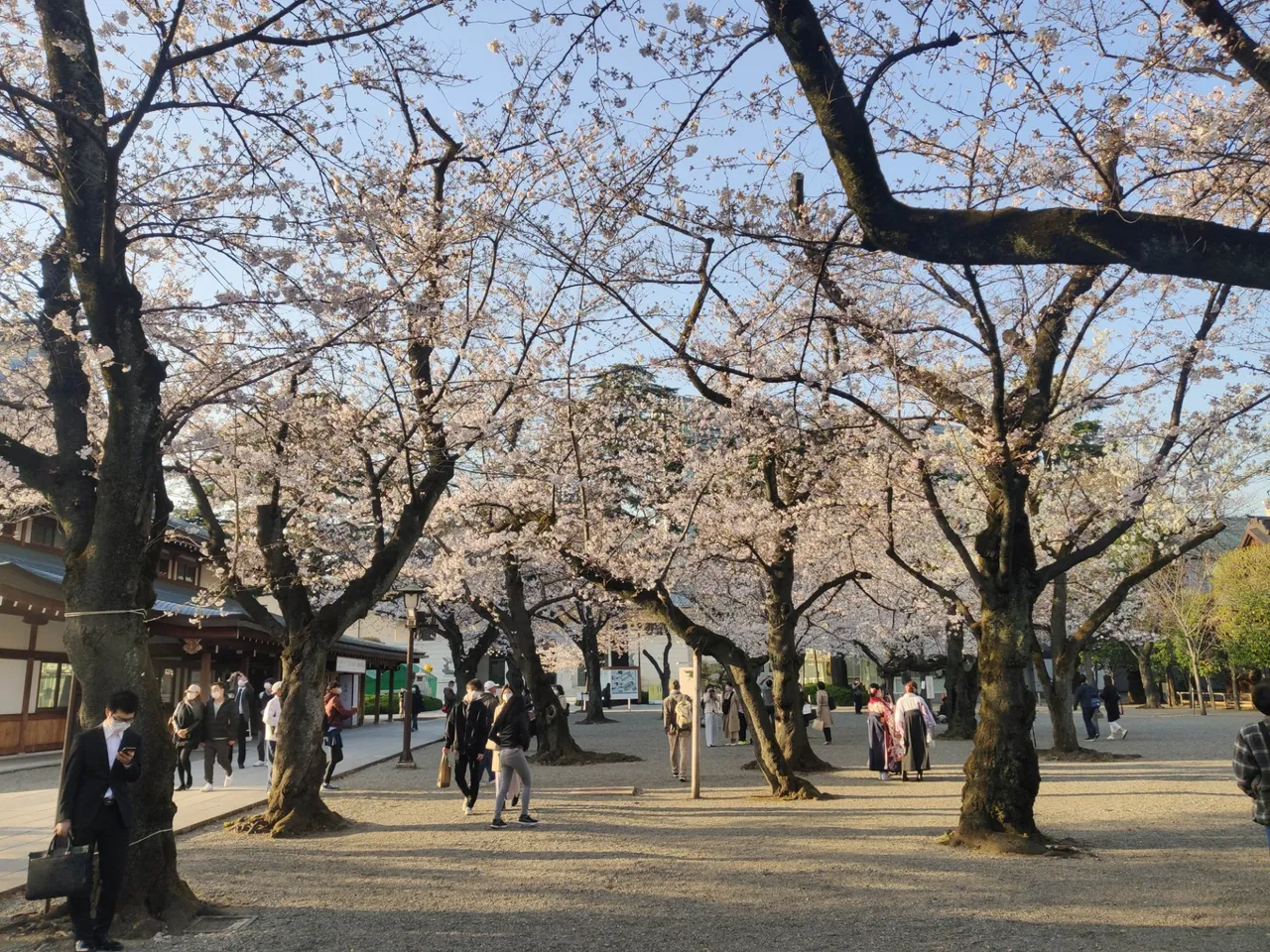 Yasukuni Jinja