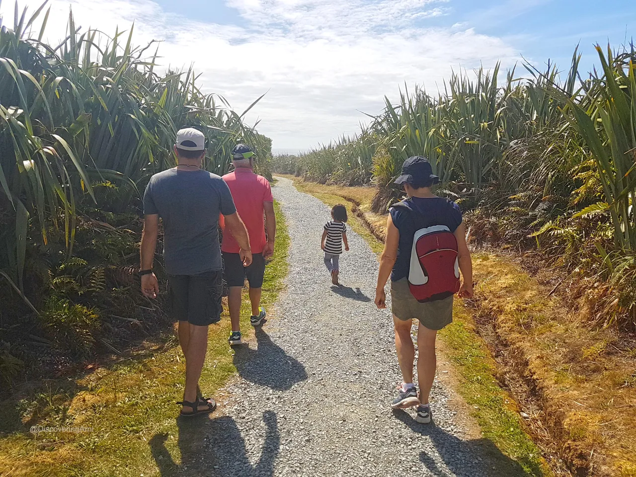 Gravel path from the Truman Track towards the shore