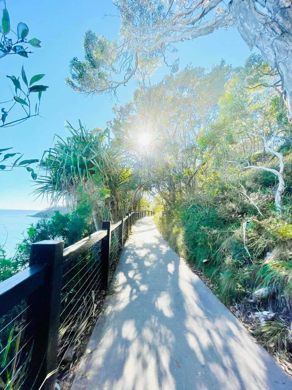 This is our entrance on our walk where we were greeted with an already glistening sun, and beautiful coastal views.