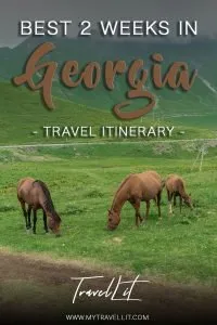 what to do in Georgia best itinerary