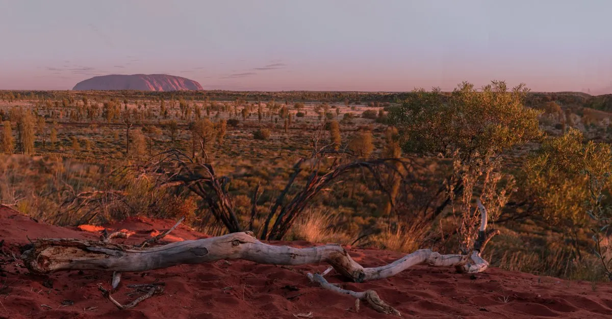 Uluru landscape sunset