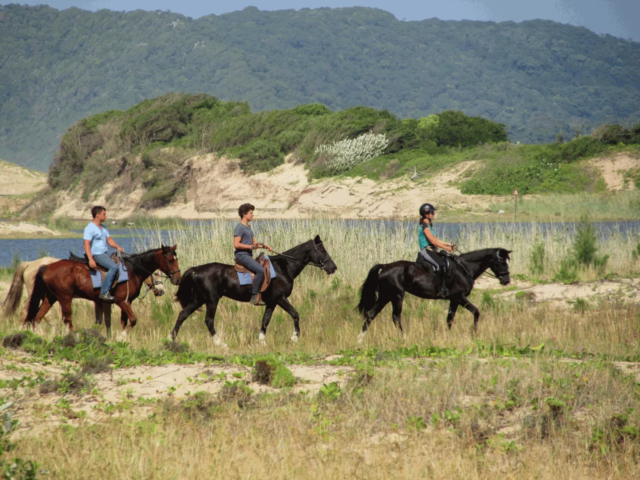 Horse riding on beach