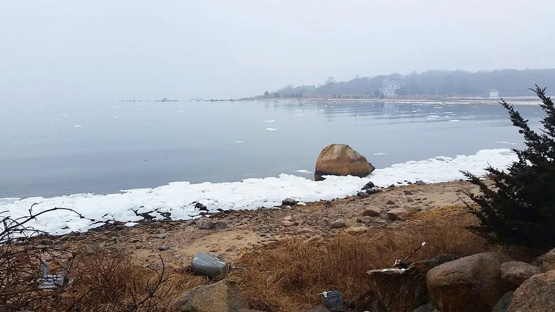 jan23walk1.jpg
