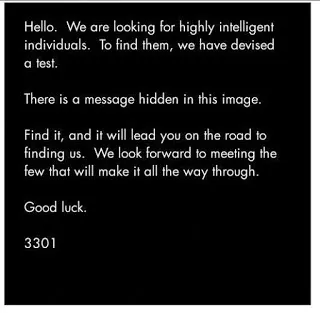 cicada 1.jpg