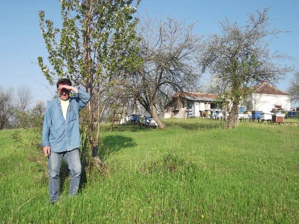 dragan 2.jpg