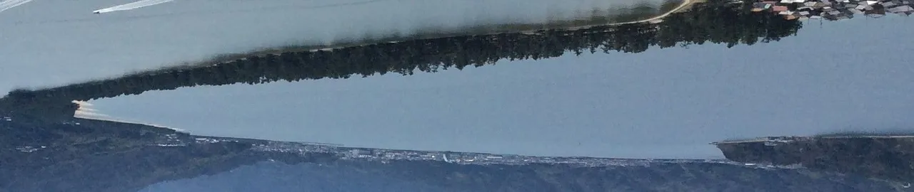 upsidedown.jpg